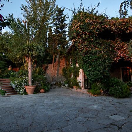 Villa Le Palme Forio di Ischia Екстериор снимка