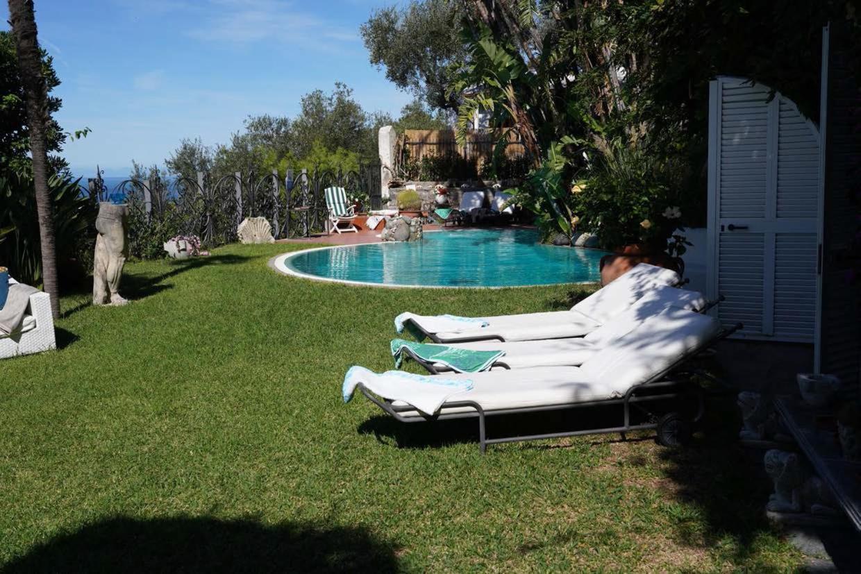 Villa Le Palme Forio di Ischia Екстериор снимка