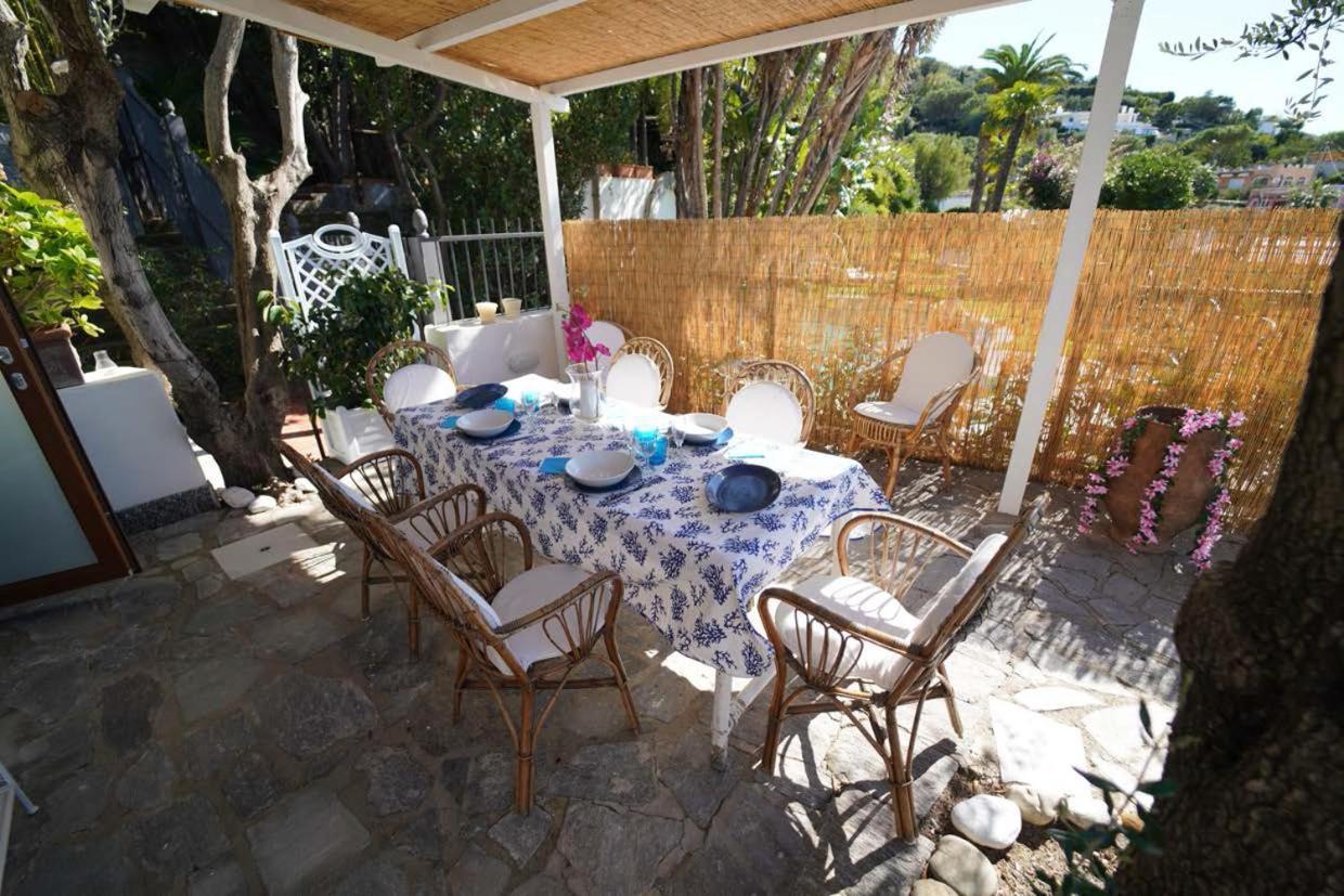Villa Le Palme Forio di Ischia Екстериор снимка