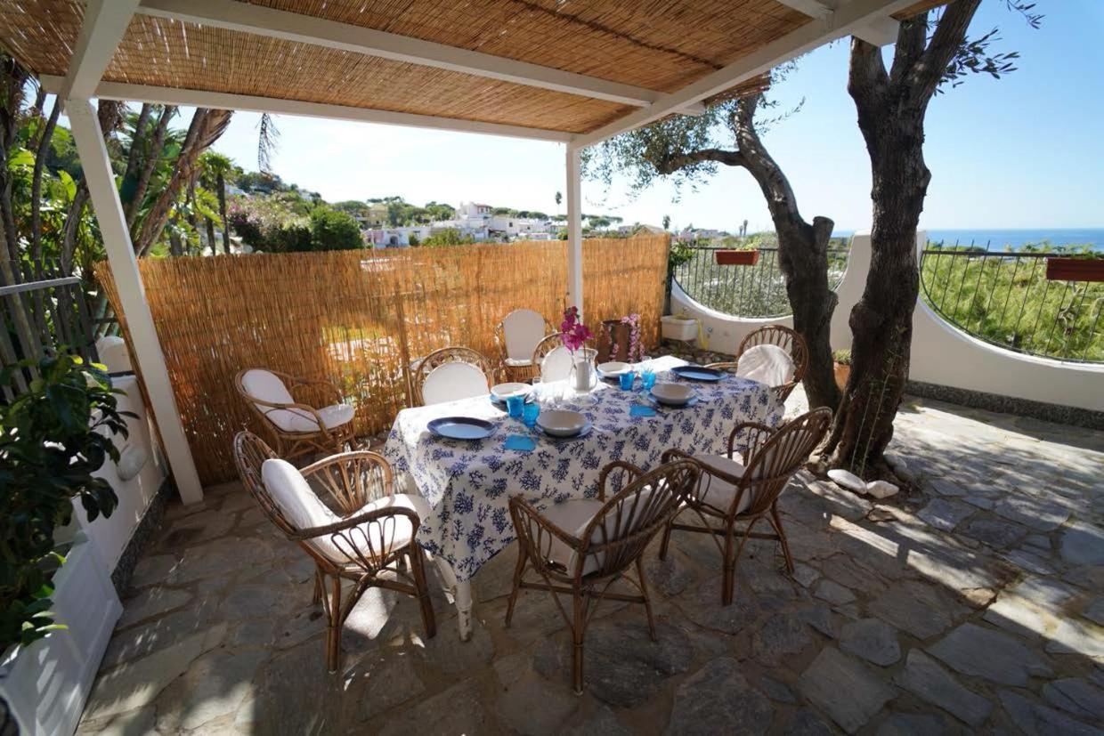 Villa Le Palme Forio di Ischia Екстериор снимка