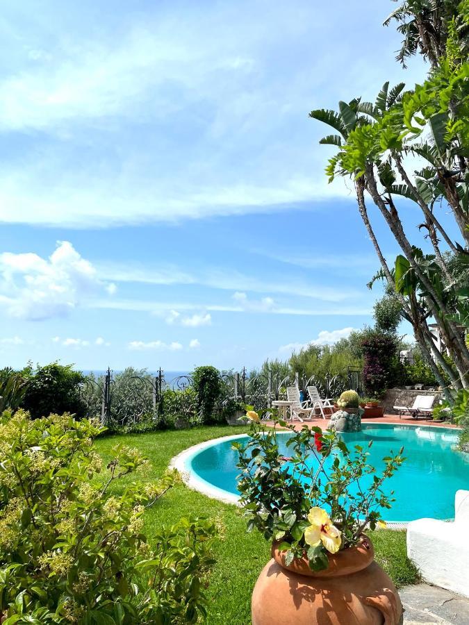 Villa Le Palme Forio di Ischia Екстериор снимка