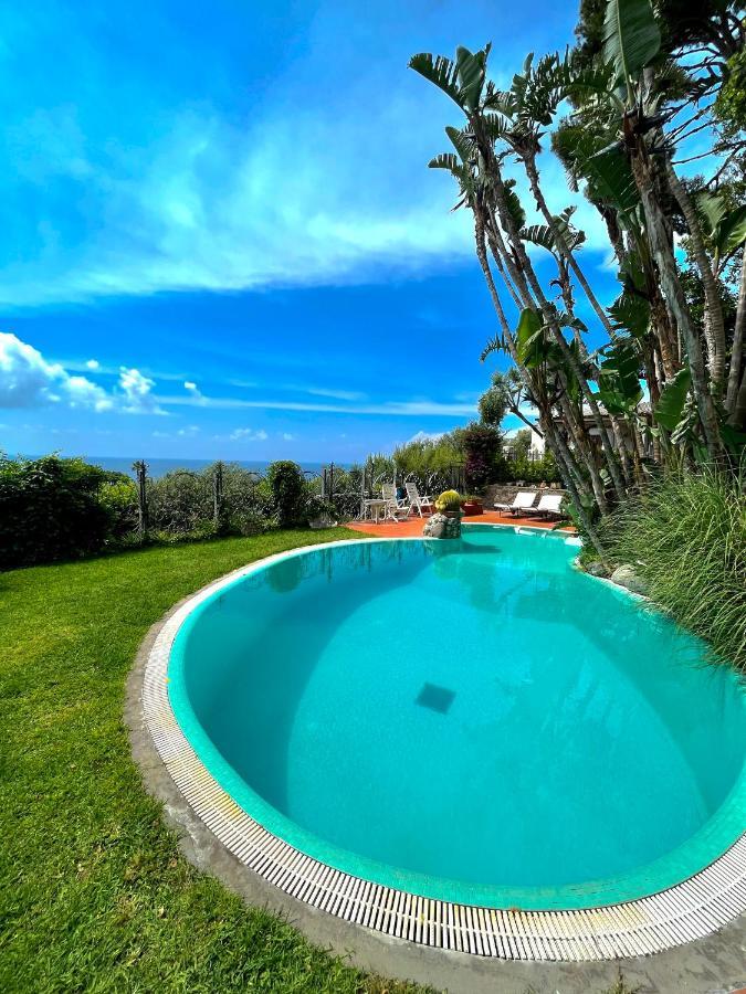 Villa Le Palme Forio di Ischia Екстериор снимка