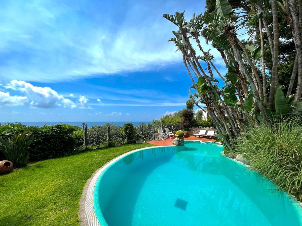 Villa Le Palme Forio di Ischia Екстериор снимка