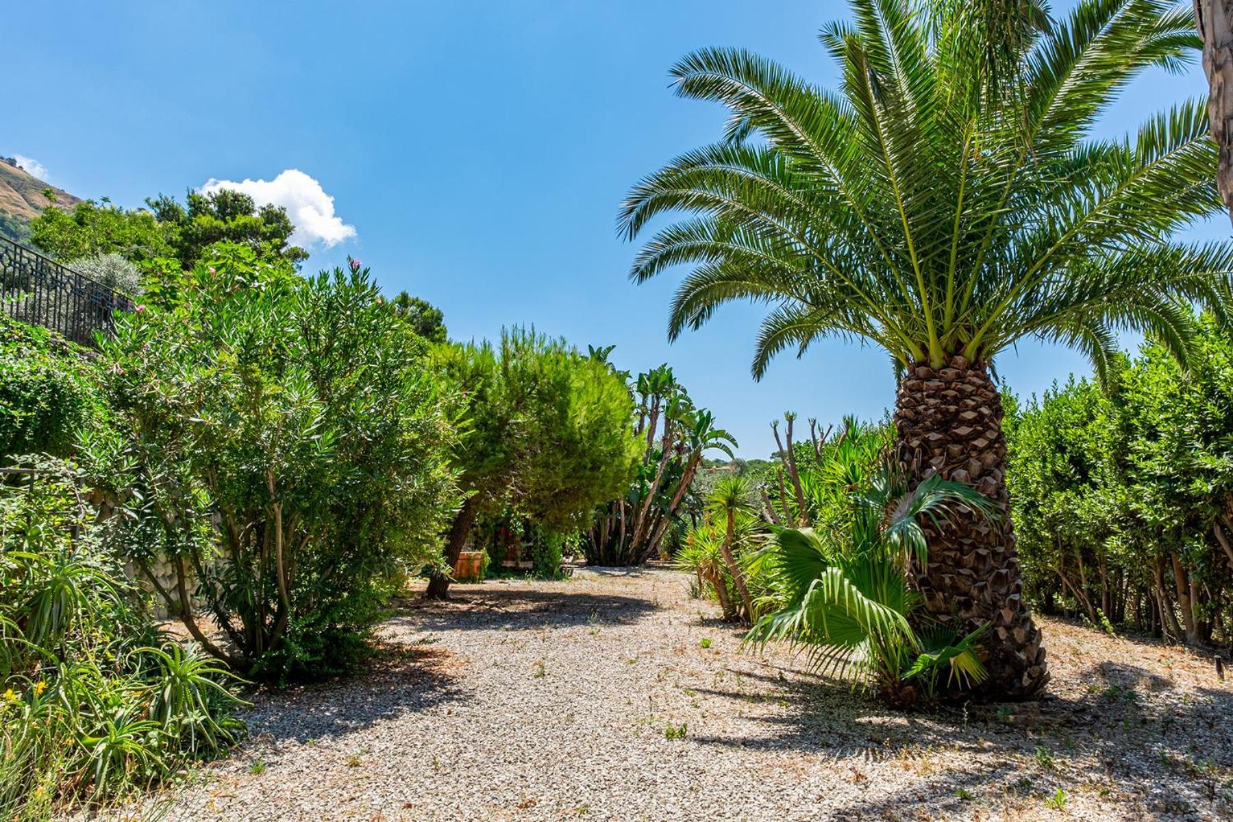 Villa Le Palme Forio di Ischia Екстериор снимка