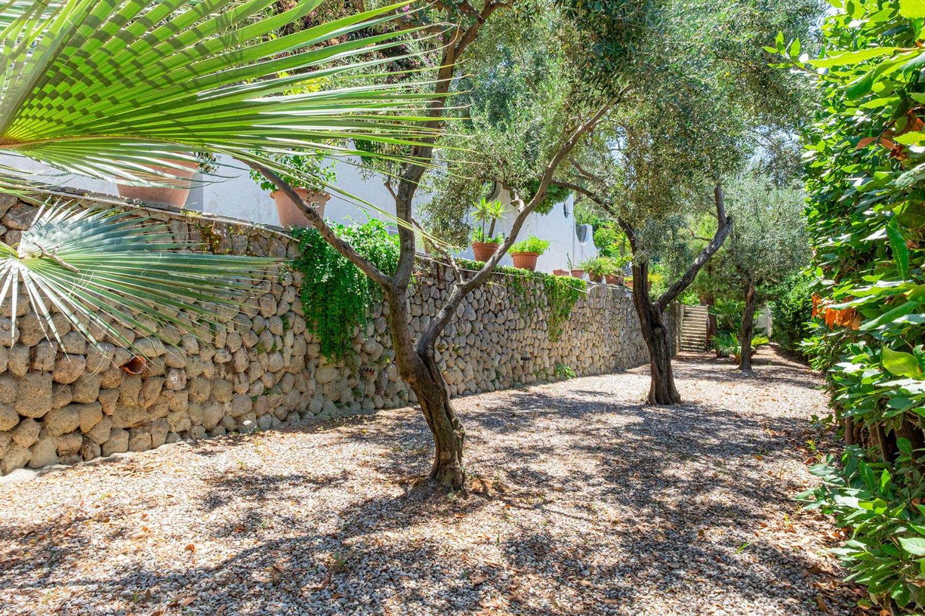 Villa Le Palme Forio di Ischia Екстериор снимка